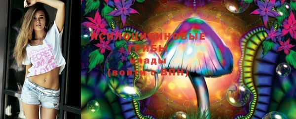 эйфоретик Осинники
