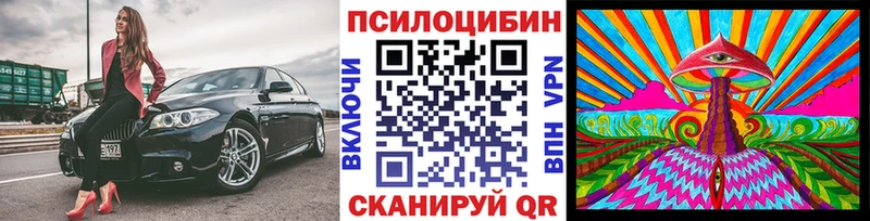 Купить закладки  Обнинск  Псилоцибиновые грибы Cubensis 